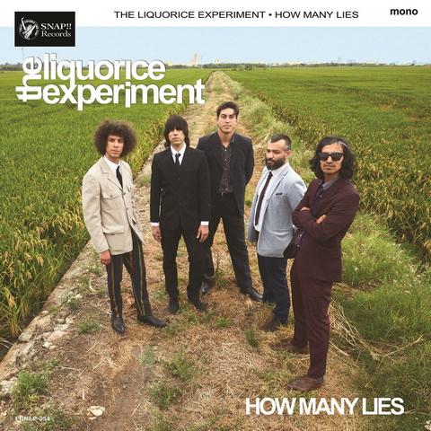 THE LIQUORICE EXPERIMENT – “How many lies” LP (Snap!!, 2023)